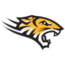 Home team crest