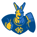 Home team crest
