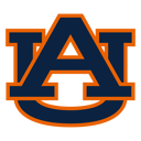 Home team crest