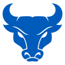 Home team crest