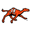 Home team crest