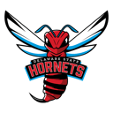 Home team crest