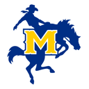 Home team crest