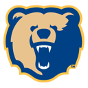 Home team crest