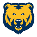 Home team crest