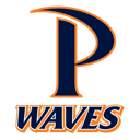 Home team crest