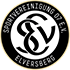 SV 07 Elversberg crest
