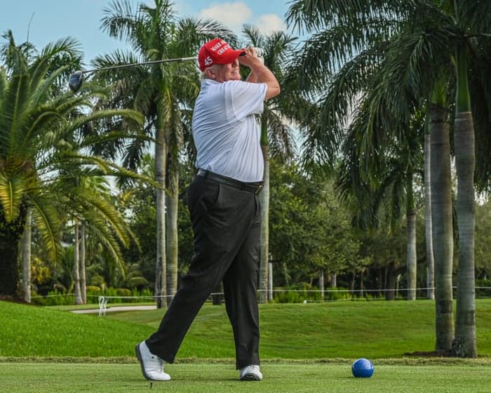 If Trump fells 430 trees in the middle of a golf course, do they make a sound?