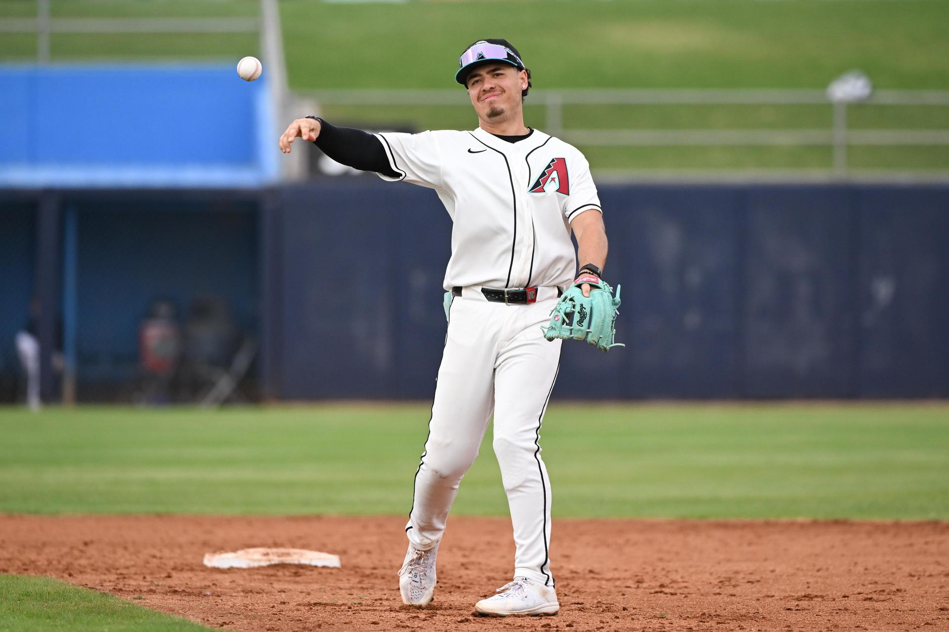 Arizona Diamondbacks Fall League update