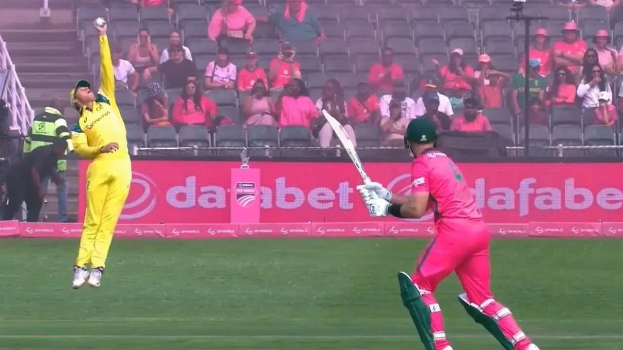Watch: Cooper Connolly takes one-handed blinder to dismiss Aiden Markram in 2nd ODI